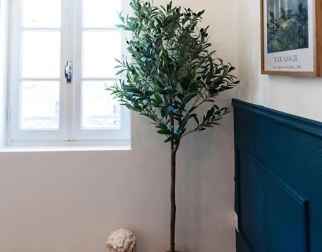 Appartement Le Louvre Baragnon Toulouse